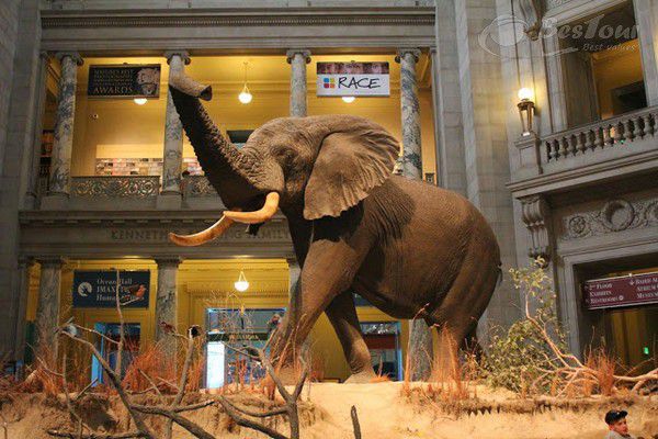 TOUR DU LICH MALDIVES 5 NGAY 4 DEM