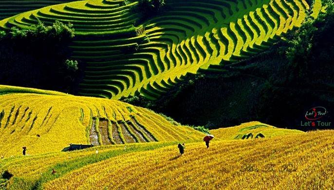 DU LICH HA GIANG HOANG SU PHI NA HANG 7 NGAY 6 DEM 