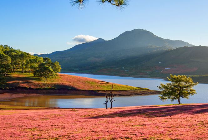 TOUR DU LICH DA LAT 4 NGAY 3 DEM