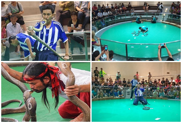 TOUR DU LICH THAI LAN 4 NGAY 3 DEM