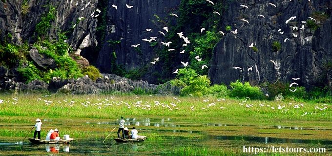TOUR DU LICH HANG MUA VAN LONG 1 NGAY