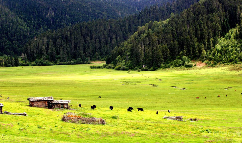 TOUR DU LICH HA KHAU CON MINH LE GIANG SHANGRI LA 6 NGAY 5 DEM