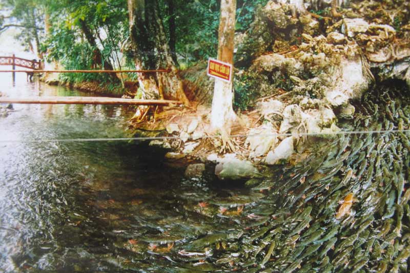 TOUR DU LICH PU LUONG SUOI CA THAN 2 NGAY 1 DEM