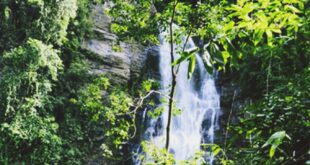 Tour du lịch vườn quốc gia xuân sơn – khoáng nóng thanh thủy 2 ngày 1 đêm