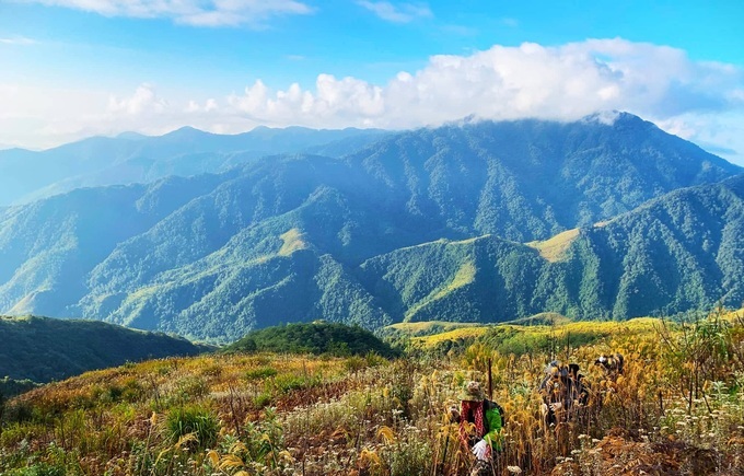 10 Đỉnh Núi Cao Nhất Việt Nam Hút Giới Trẻ