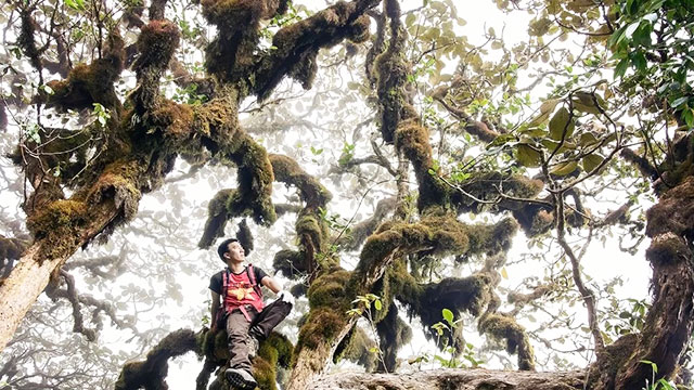 10 Đỉnh Núi Cao Nhất Việt Nam Hút Giới Trẻ