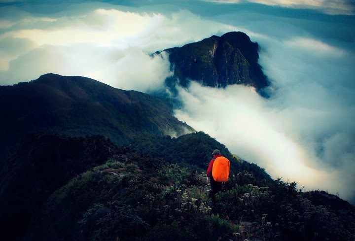 10 Đỉnh Núi Cao Nhất Việt Nam Hút Giới Trẻ