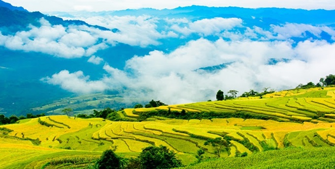 Hồng Thái Na Hang Thiên Đường Mây