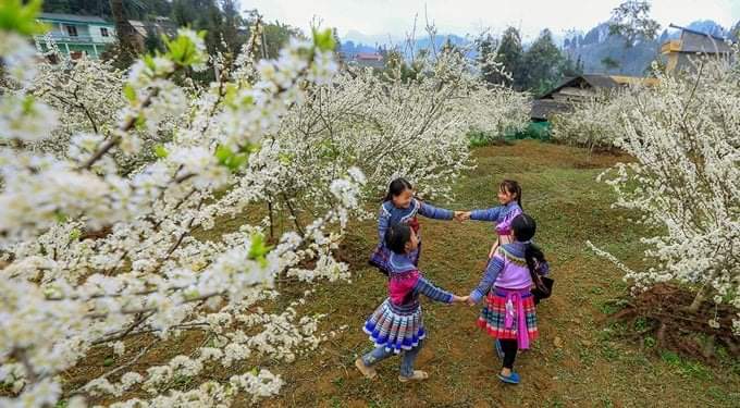 TOUR DU LICH BAC HA MY LAM HO THAC BA 4 NGAY 3 DEM