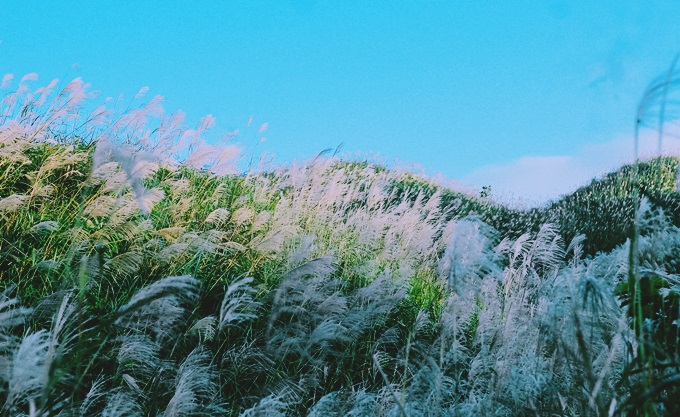 DU LICH BINH LIEU 2 NGAY 1 DEM