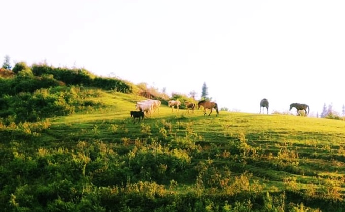 TOUR DU LICH BAC HA MY LAM HO THAC BA 4 NGAY 3 DEM