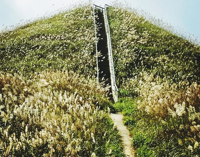 DU LICH BINH LIEU 3 NGAY 2 DEM