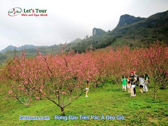 DU LICH DONG BAC 4 NGAY 3 DEM