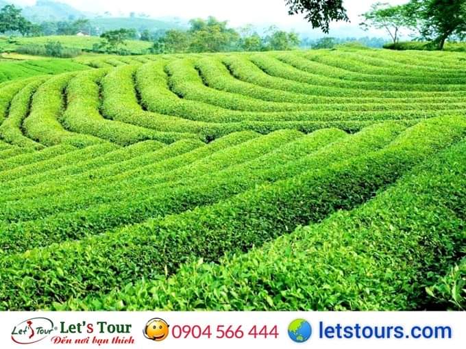 Tour du lịch Khoáng nóng Mỹ Lâm 3 ngày 2 đêm
