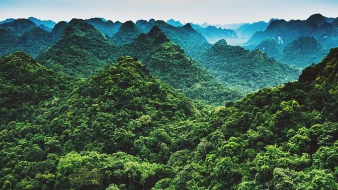 DU LICH CAT BA 3 NGAY 2 DEM