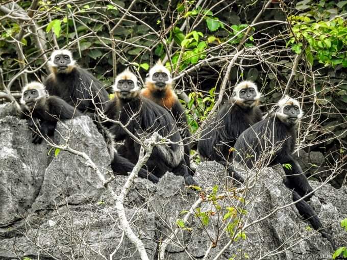 DU LICH CAT BA 3 NGAY 2 DEM