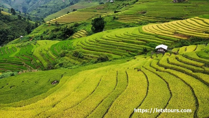 Du lịch Tà Xùa 2 ngày 1 đêm