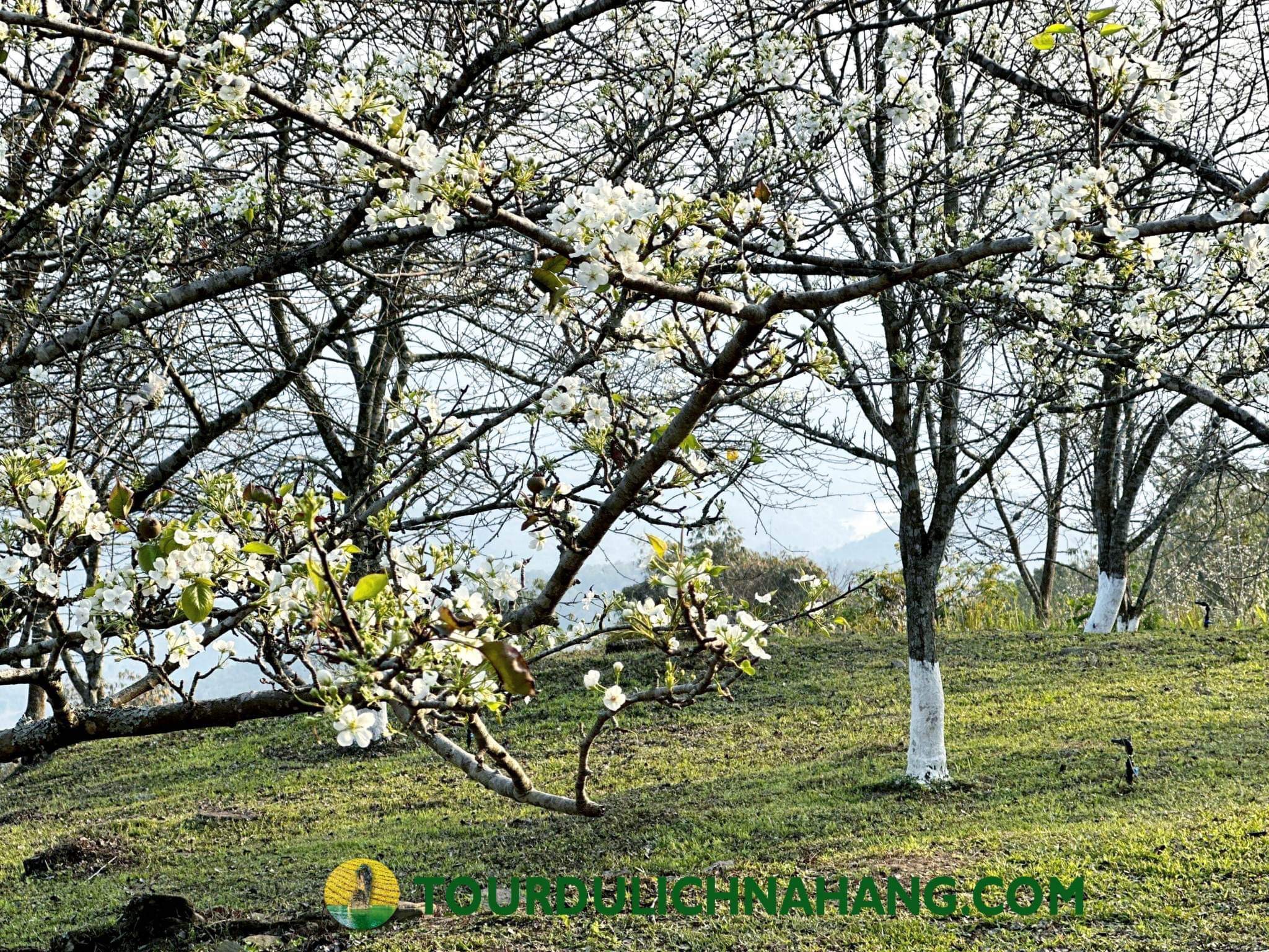 DU LICH NA HANG HONG THAI 2 NGAY 1 DEM