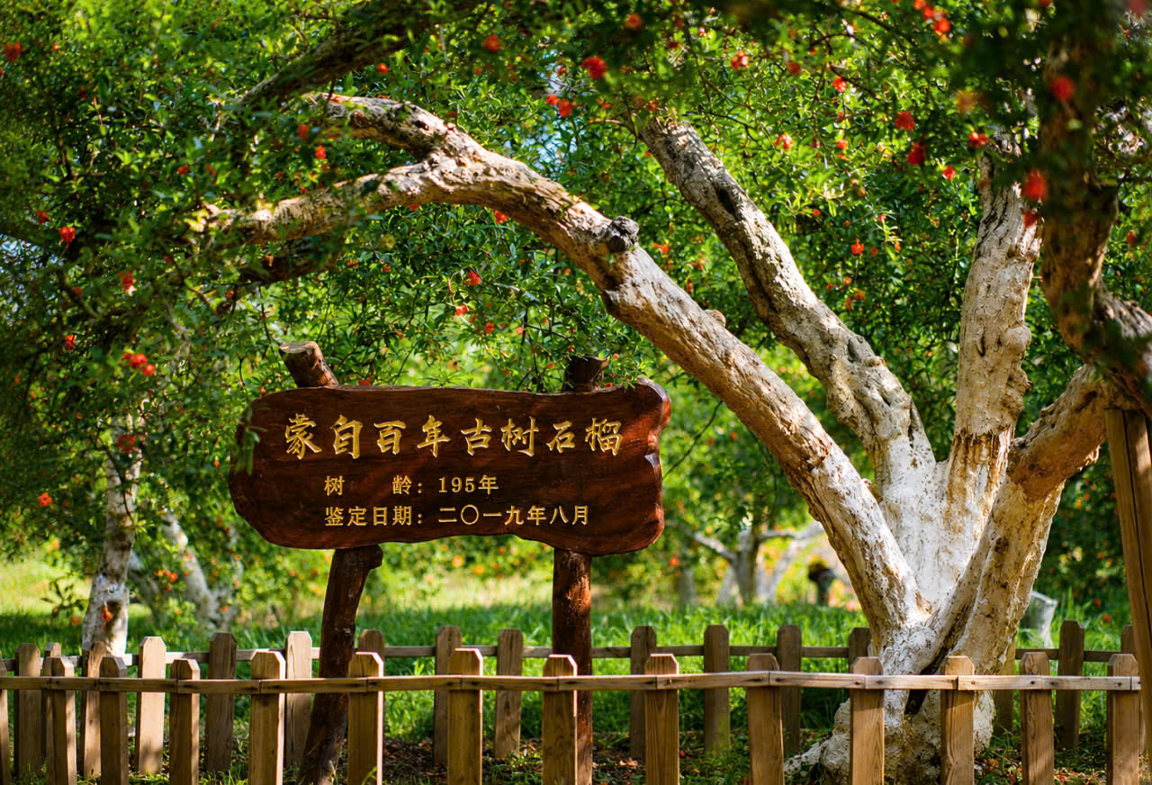 TOUR HÀ KHẨU - BÌNH BIÊN - KIẾN THỦY - DI LẶC 4 NGÀY 3 ĐÊM