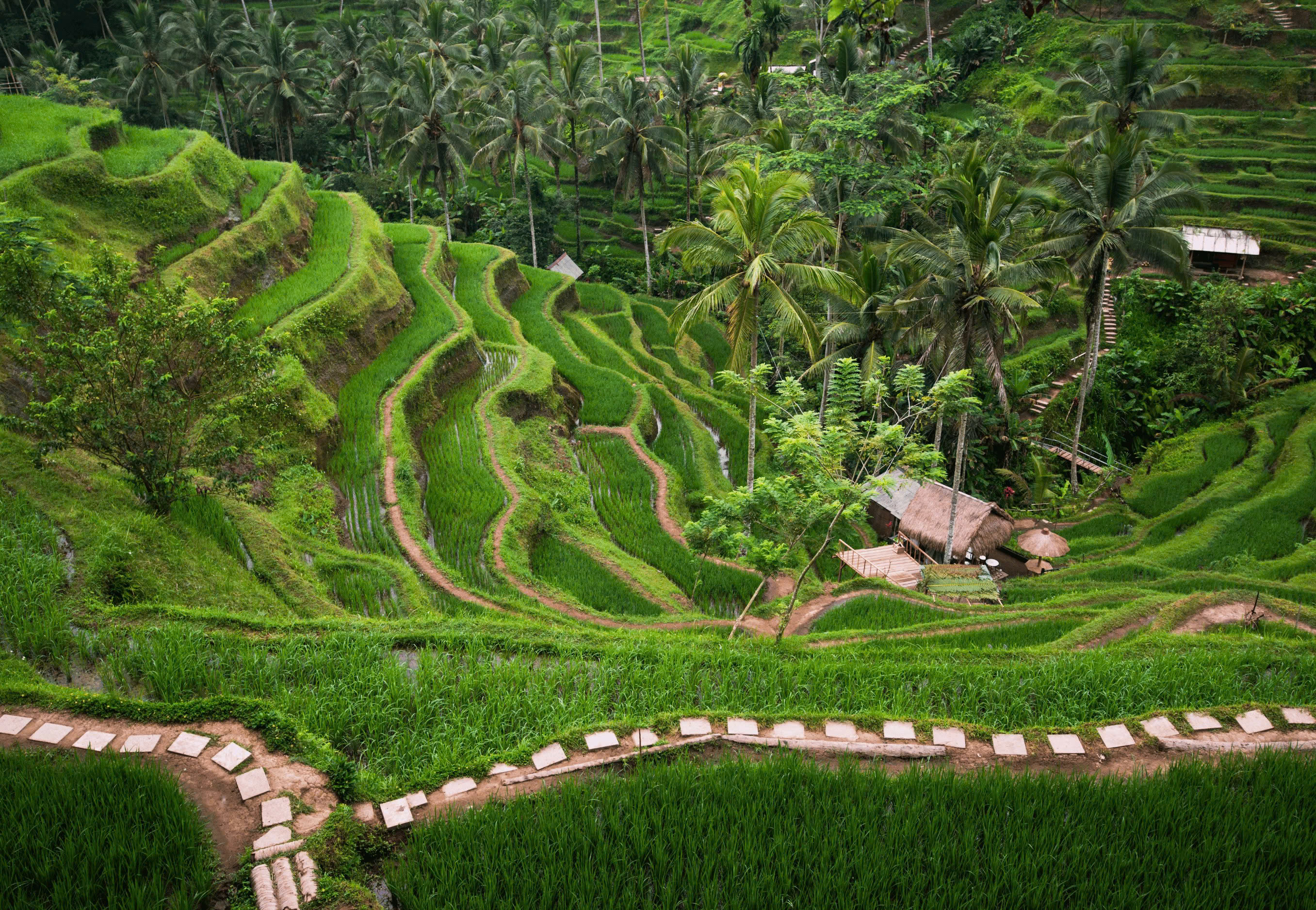 DU LỊCH BALI - HÒN ĐẢO THIÊN ĐƯỜNG 5 NGÀY 4 ĐÊM