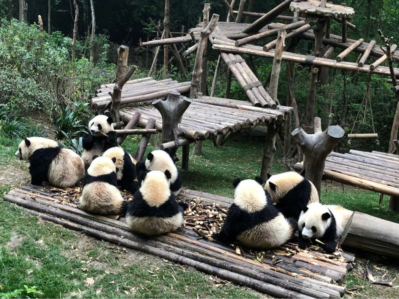 TOUR DU LỊCH TRÙNG KHÁNH MÔN 5 NGÀY 4 ĐÊM