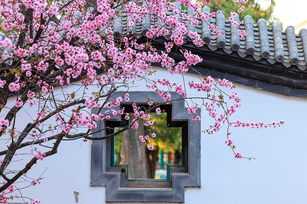DU LỊCH THANH ĐẢO - YÊN ĐÀI - UY HẢI 6 NGÀY 5 ĐÊM