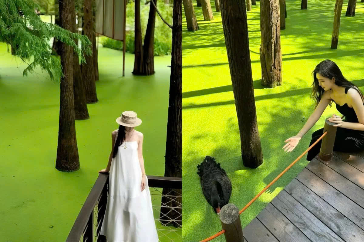 DU LỊCH ĐỒN KHÊ - HỒ THANH SƠN - Ô TRẤN - THƯỢNG HẢI - HÀNG CHÂU - TỀ VÂN SƠN - HOÀNH THÔN 6 NGÀY 5 ĐÊM