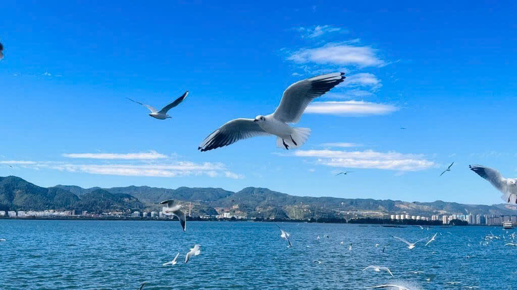 TOUR DU LỊCH KHÁM PHÁ CÔN MINH MONO 4 NGÀY 3 ĐÊM